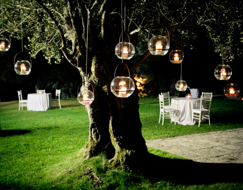 Summer Lights