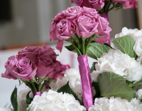 Flowering Hortensias