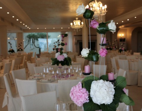 Flowering Hortensias