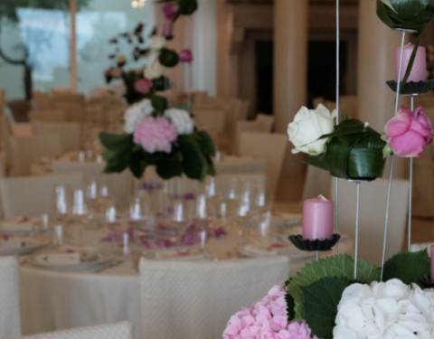 Flowering Hortensias