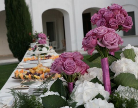 Flowering Hortensias